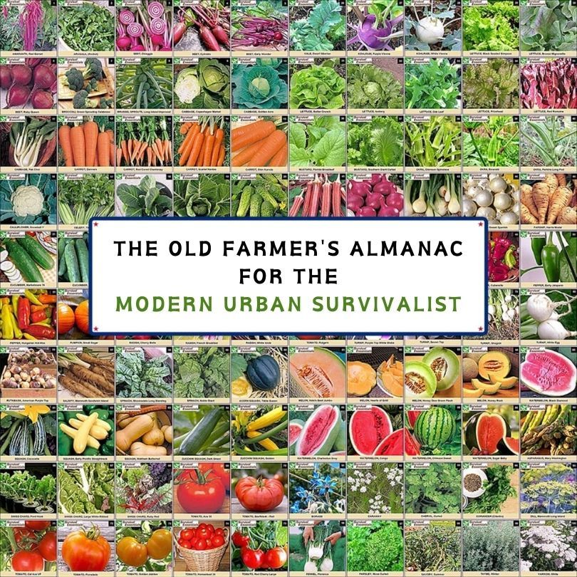 The Old Farmer's Almanac for the Modern Urban Survivalist