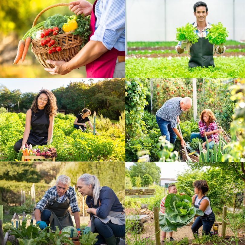 Community members sharing a vegetable from their vegetable garden together is depicted in this image.