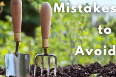 Common mistakes to avoid when starting a survival garden?