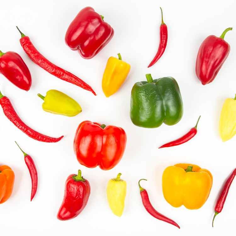 pepper varieties
