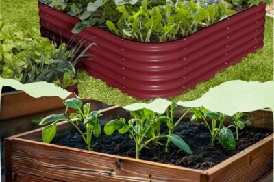 Survival Garden Beds: Metal vs Wood for Superior Heat Retainment