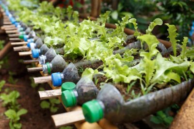 Sustainable Survival Gardens: Reviving with Repurposed Plastic